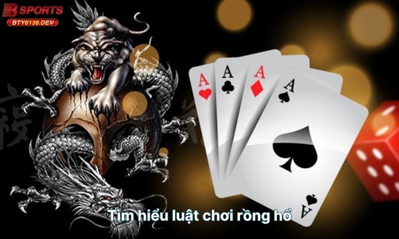 tim-hieu-luat-choi-rong-ho